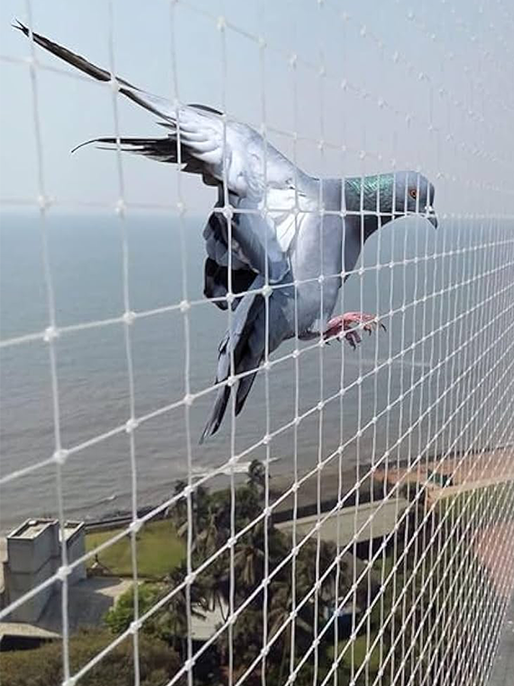anti bird nets