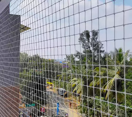pigeon safety nets