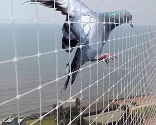 anti bird nets