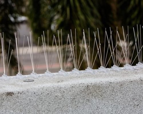 spikes.jpg